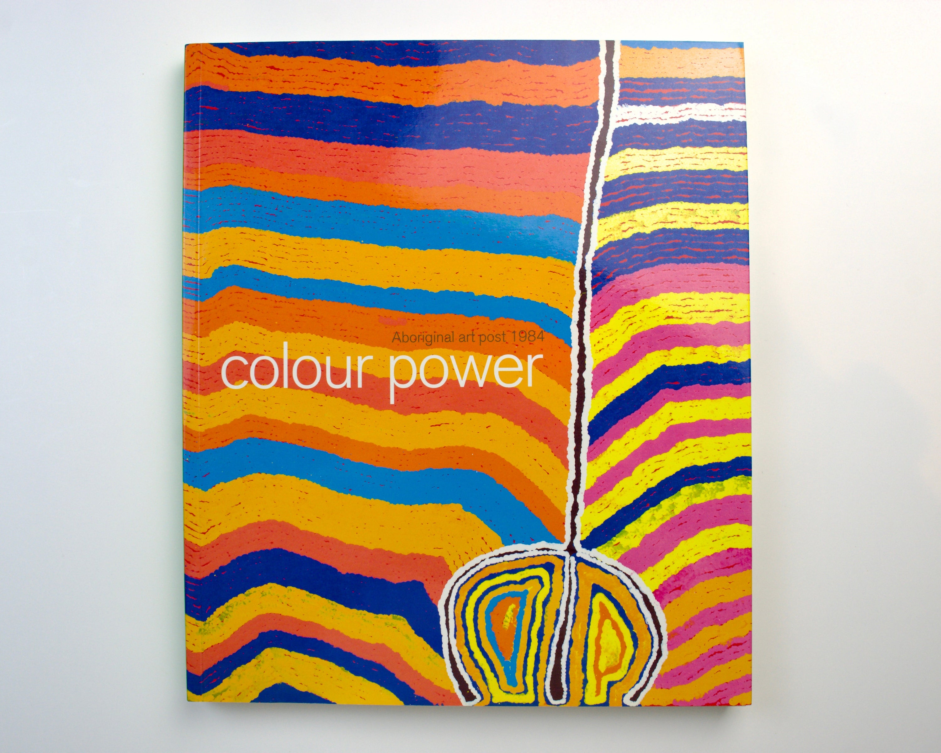 COLOUR POWER: ABORIGINAL ART POST 1984 [2004]