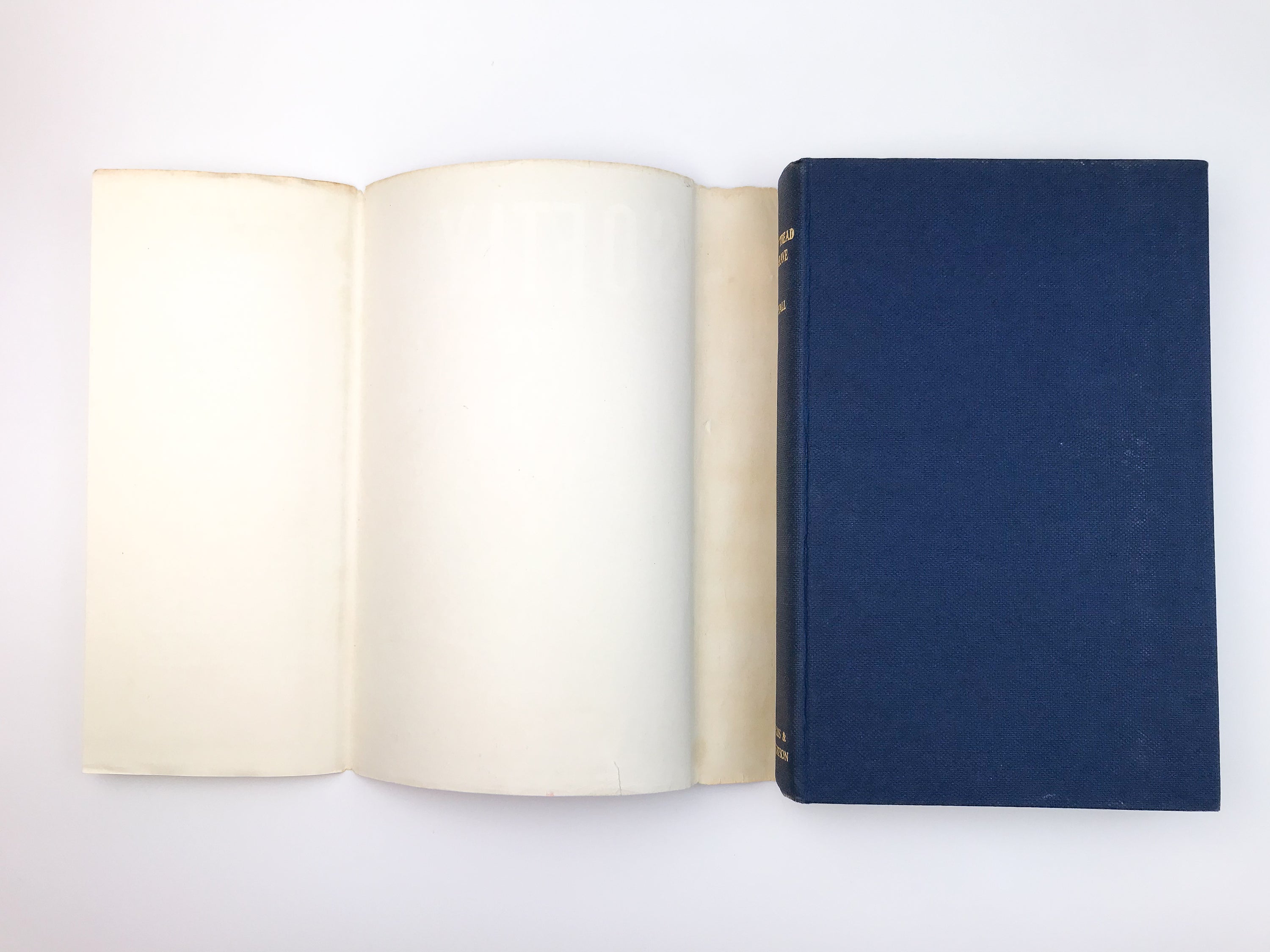 SOFTLY TREAD THE BRAVE: IVAN SOUTHALL [1960] — Rare 1st Edition