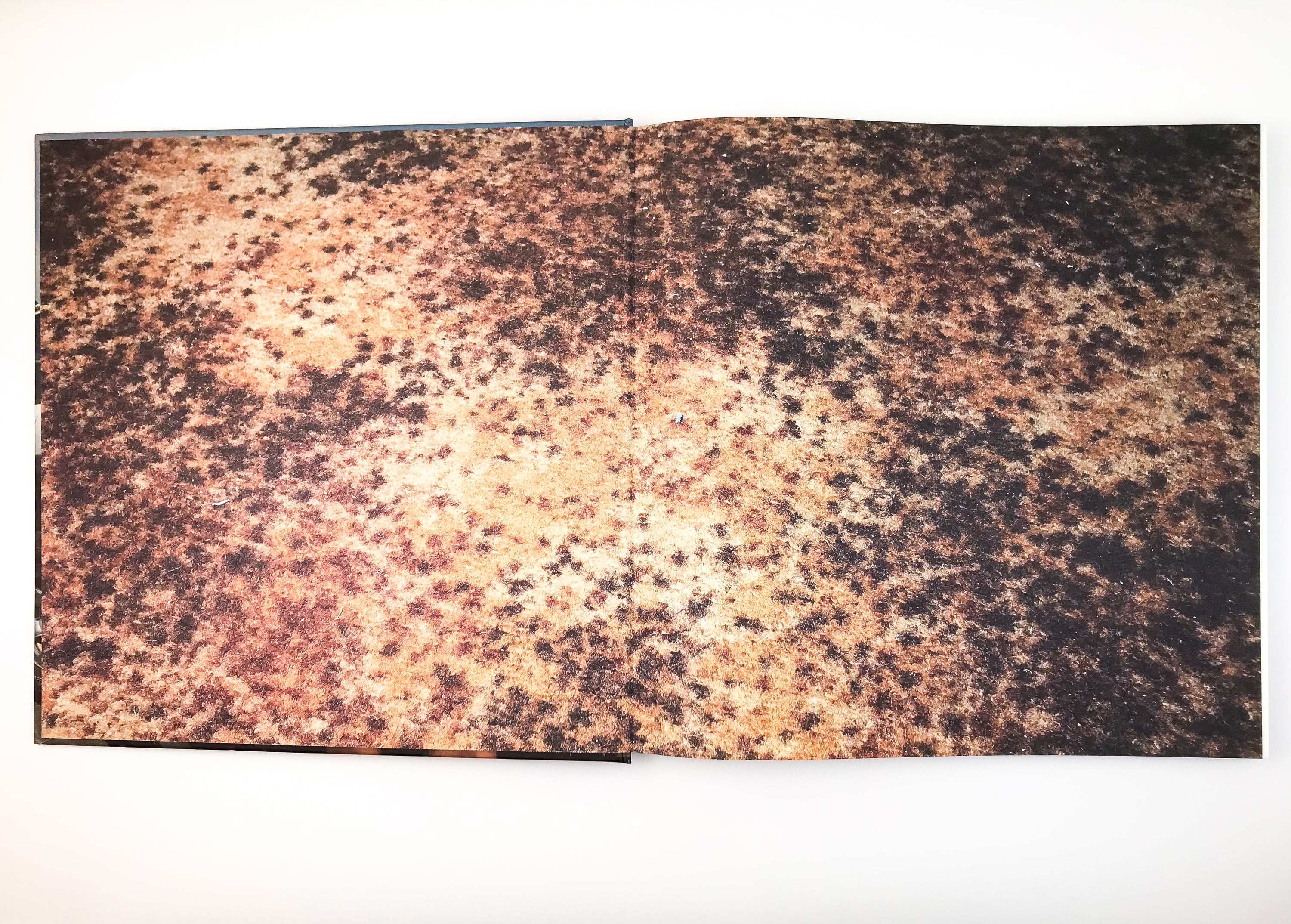 TOM RAMSAY: WELCOME TO SHANEDALE, THE AUSTRALIA NOT SHOWN ON POSTCARDS [2006] — SIGNED COPY
