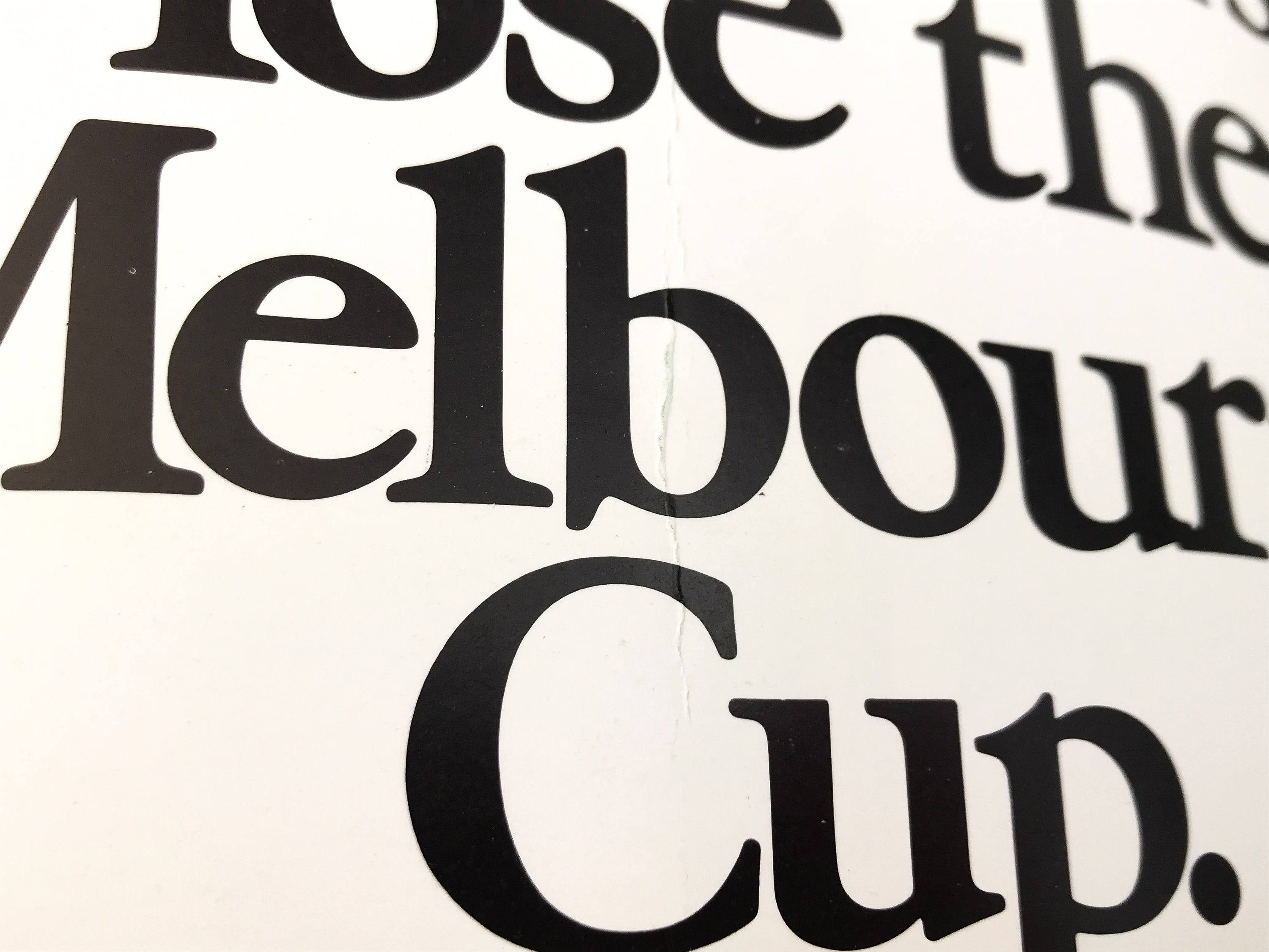 THE CUP — 126 YEARS: VICTORIA RACING CLUB MELBOURNE CUP CARNIVAL SOUVENIR [1986]