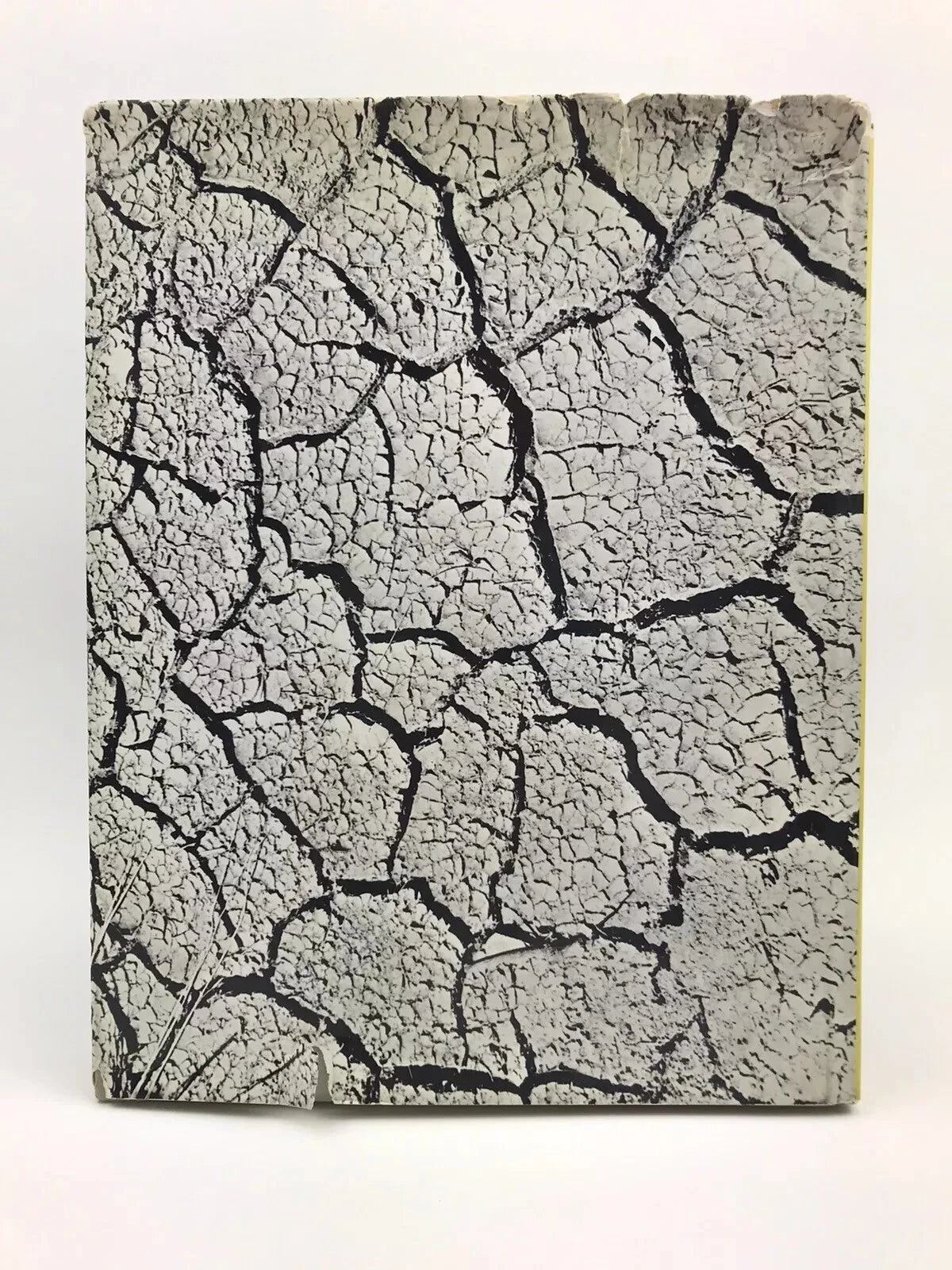 DAVID BEAL / DONALD HORNE: SOUTHERN EXPOSURE [1967]