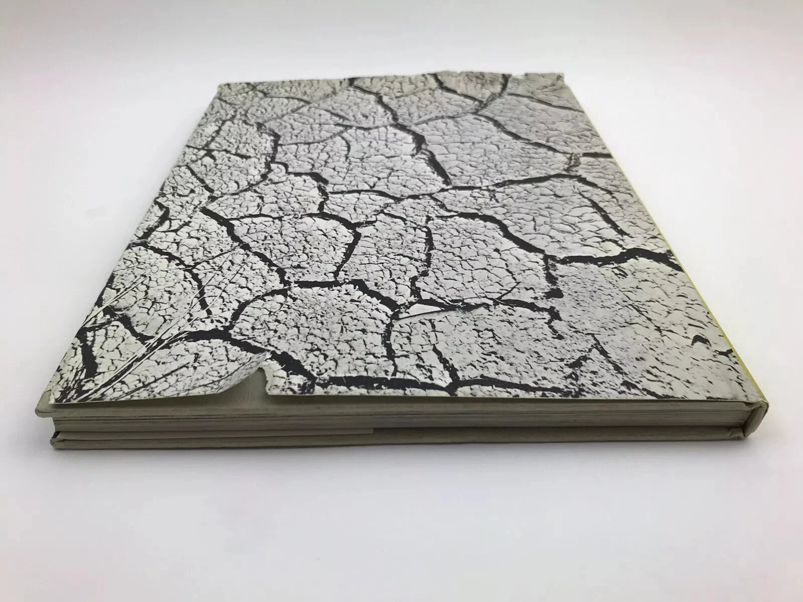 DAVID BEAL / DONALD HORNE: SOUTHERN EXPOSURE [1967]