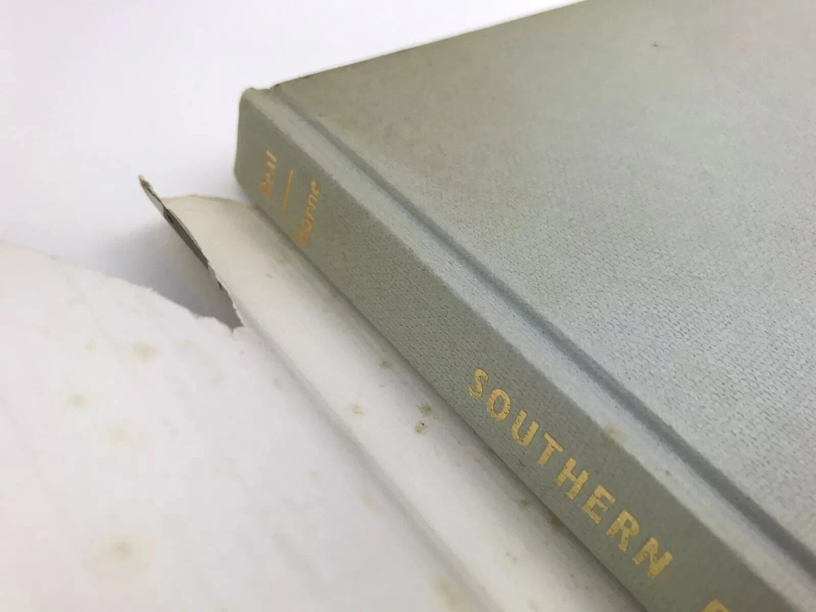 DAVID BEAL / DONALD HORNE: SOUTHERN EXPOSURE [1967]