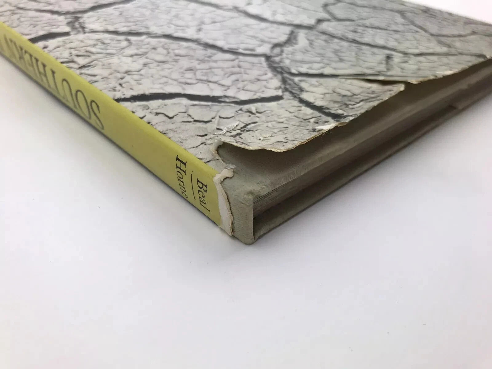 DAVID BEAL / DONALD HORNE: SOUTHERN EXPOSURE [1967]